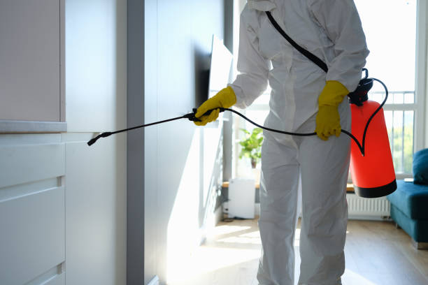 Best Certified Mold Removal  in Lake Camelot, WI