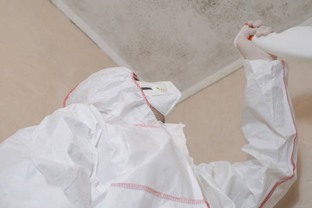 Best Toxic Mold Removal  in Lake Camelot, WI